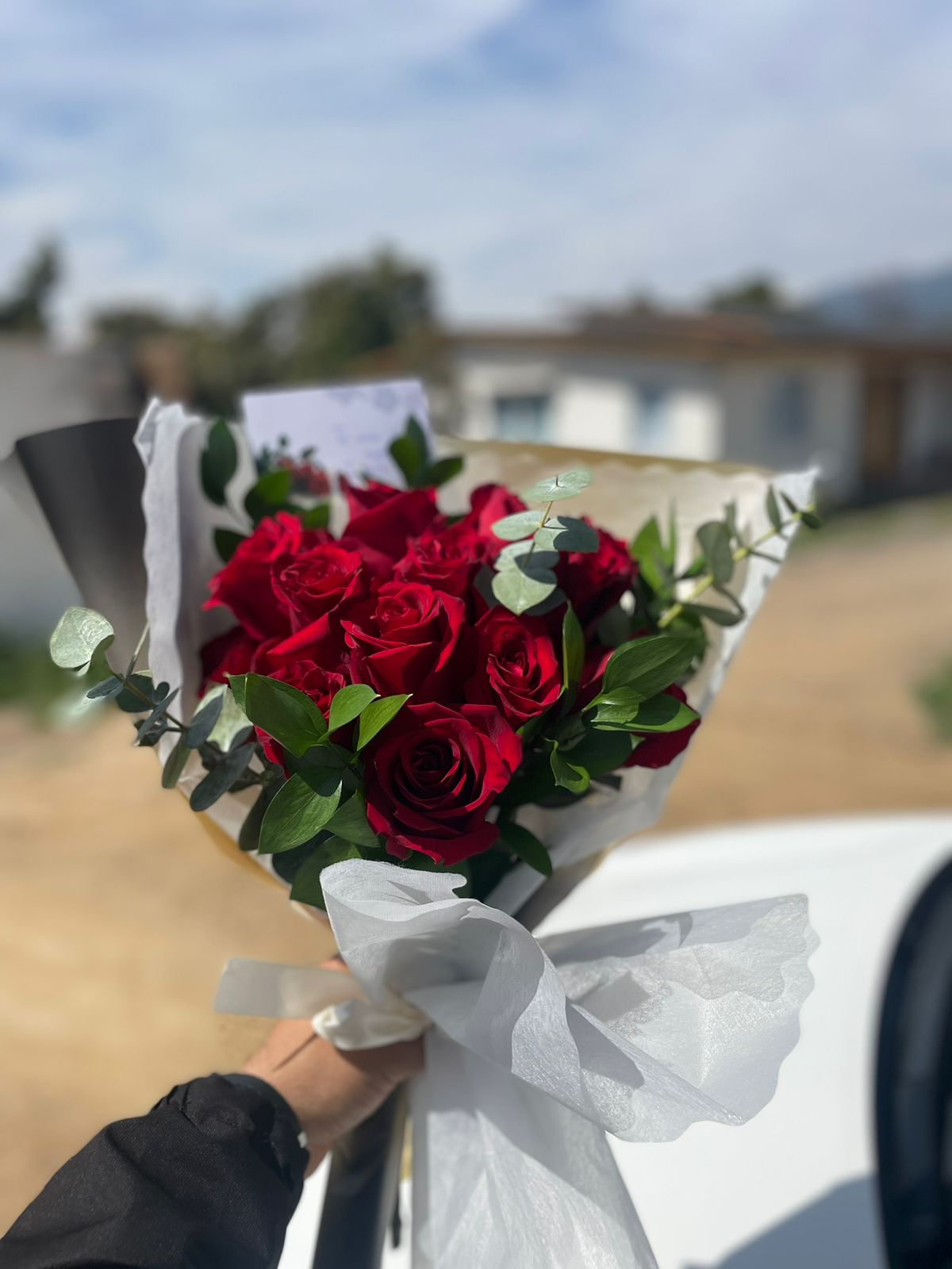 Rosas del bosque