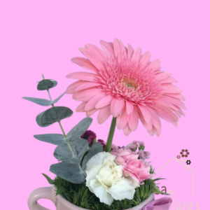 TAZA MOM