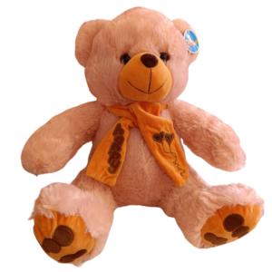 Peluche Canción