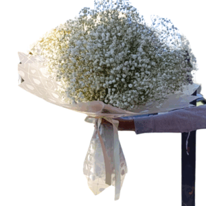 Ramo de Gypsophilia